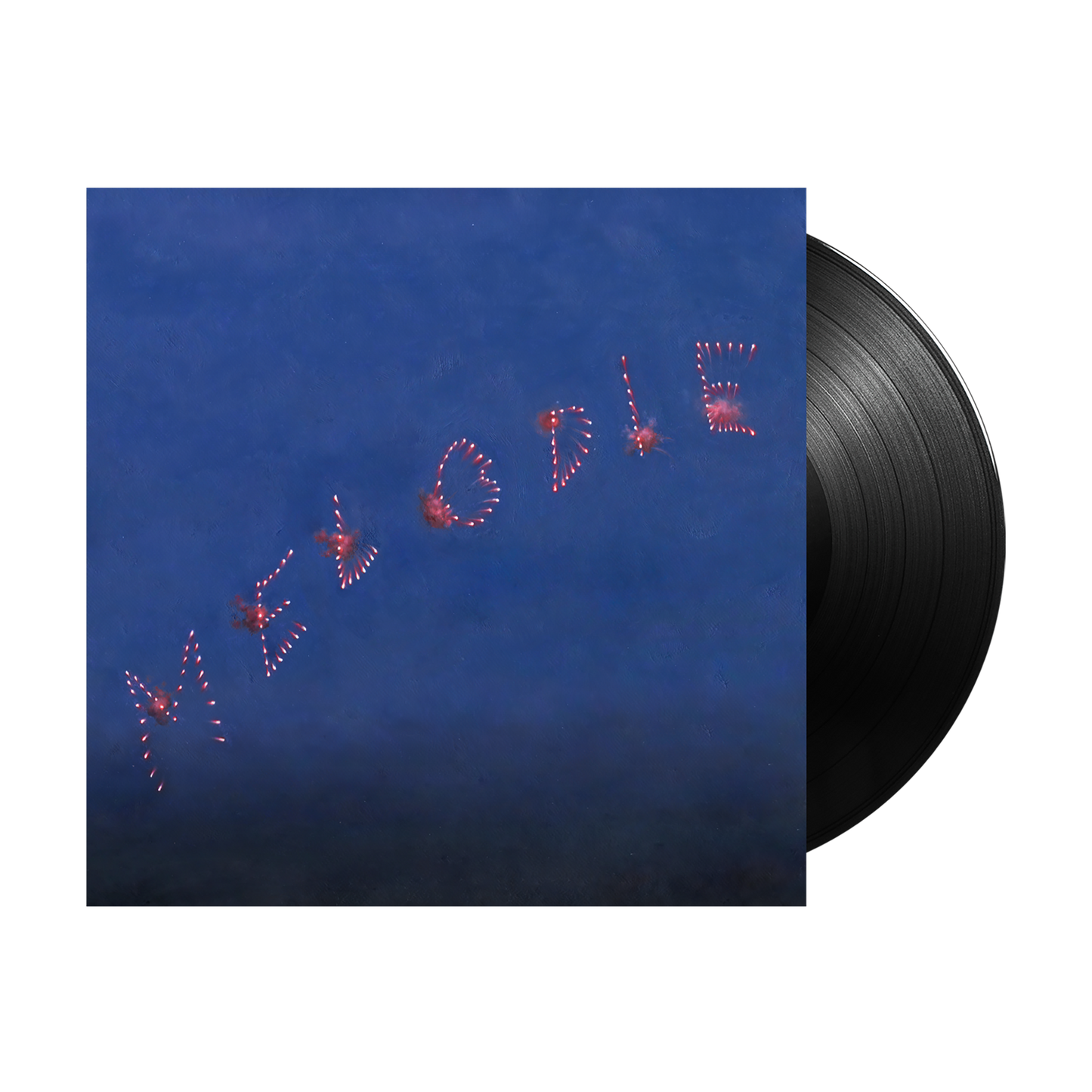 Slow Pulp (Melodie) Black Vinyl