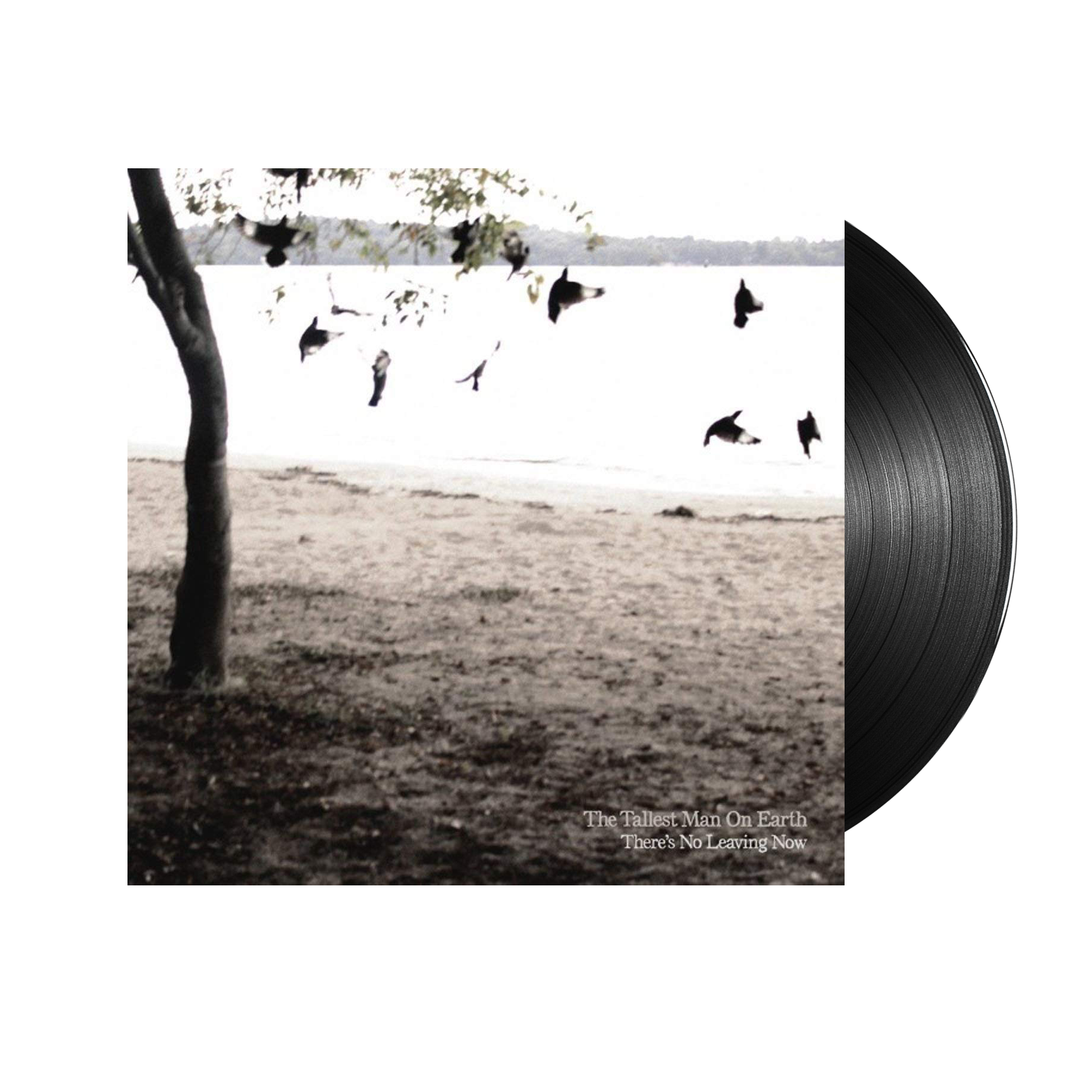 The Tallest Man On Earth (There's No Leaving Now) Black Vinyl